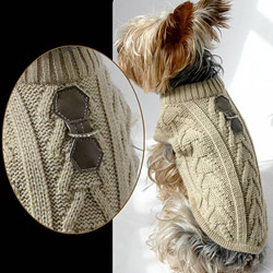 promotions collier chien